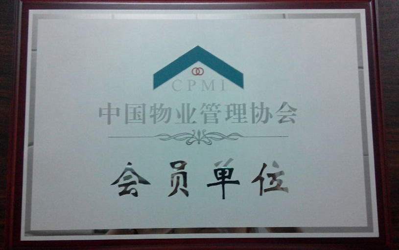 成绩荣誉  Achievements and honors